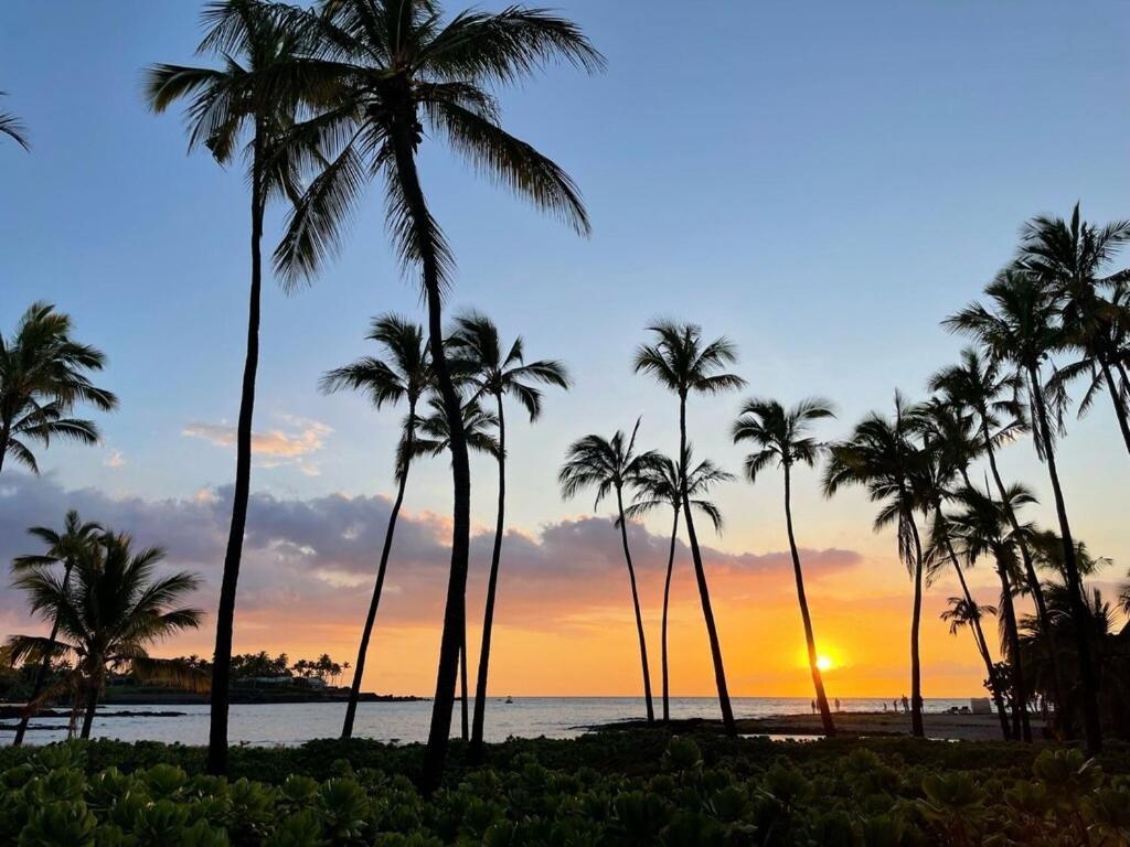 Mauna Lani Palm Villas D-2 Corner Unit Historic View ワイコロアビレッジ エクステリア 写真