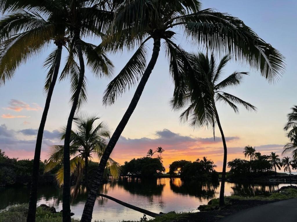 Mauna Lani Palm Villas D-2 Corner Unit Historic View ワイコロアビレッジ エクステリア 写真