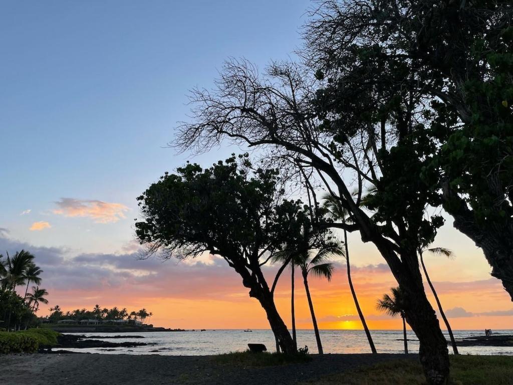 Mauna Lani Palm Villas D-2 Corner Unit Historic View ワイコロアビレッジ エクステリア 写真