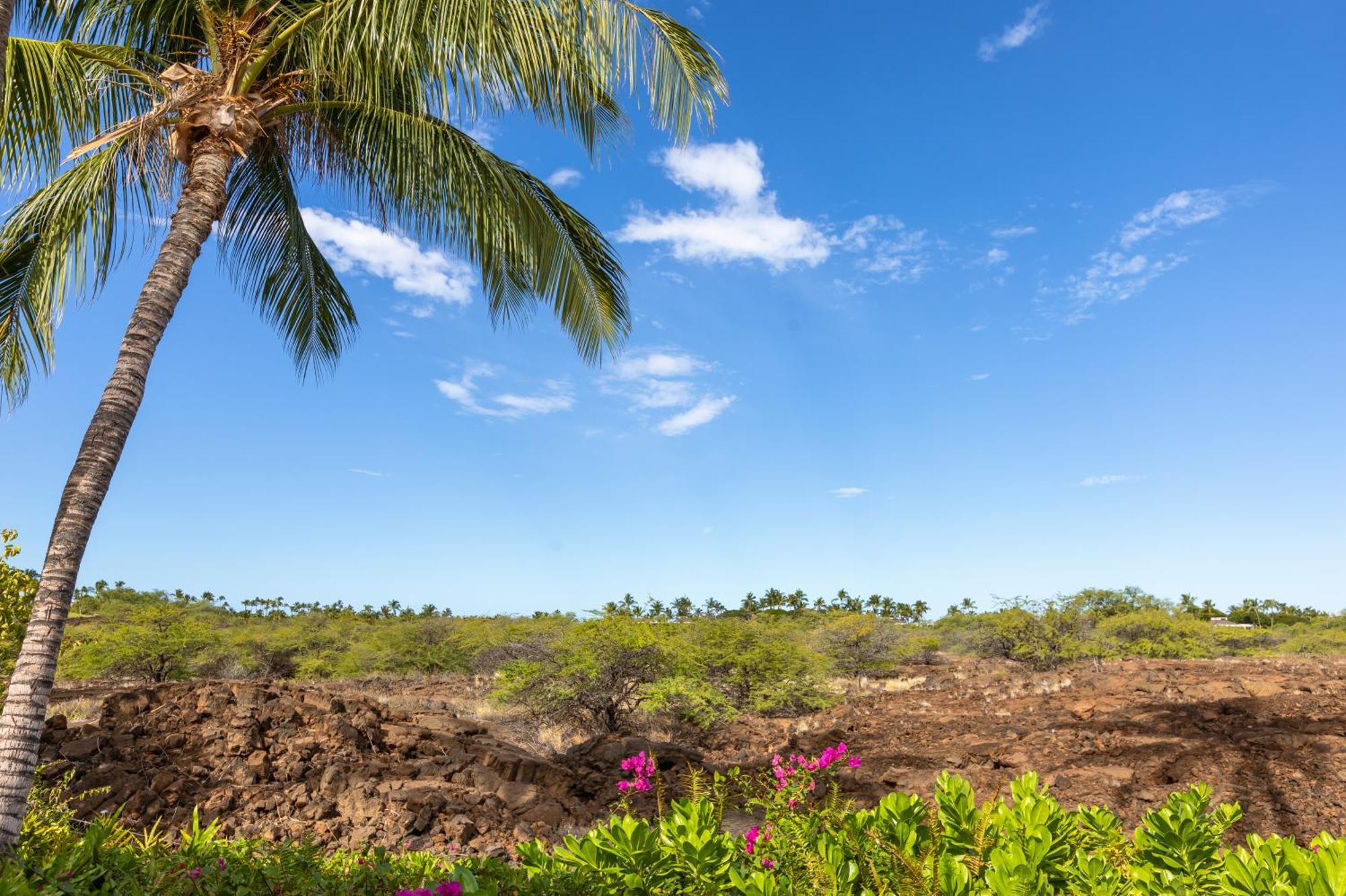 Mauna Lani Palm Villas D-2 Corner Unit Historic View ワイコロアビレッジ エクステリア 写真