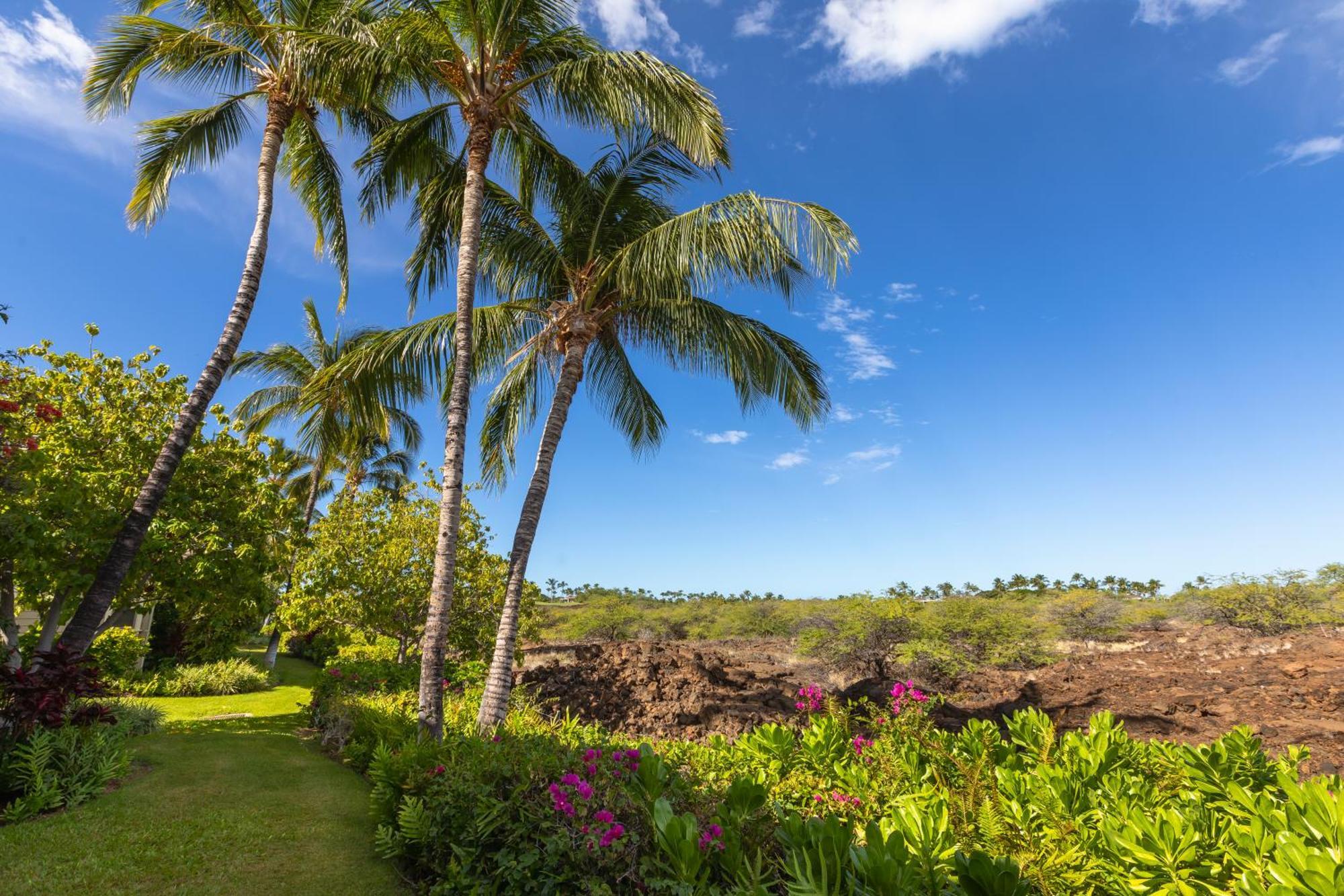 Mauna Lani Palm Villas D-2 Corner Unit Historic View ワイコロアビレッジ エクステリア 写真